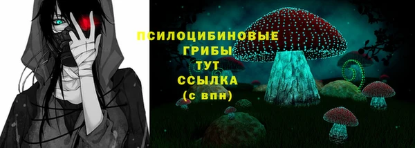 амф Белокуриха