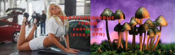 трава Беломорск