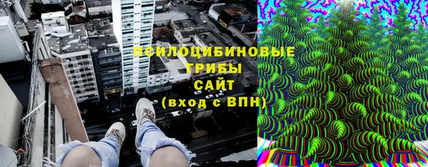 трава Беломорск