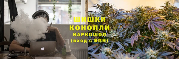 трава Беломорск